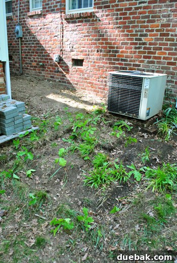 Cleared area after brick removal, showing bare ground