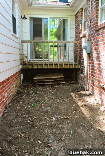 After removing liriope, showing cleared ground