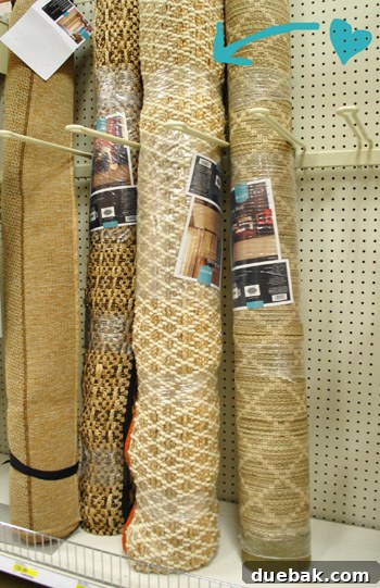 Area rug with cool orange trim, 5x8 feet, resembling a high-end West Elm design, versatile for various rooms.