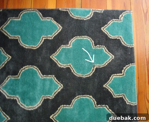 The patterned rug laid out on the floor, with the rip cleverly concealed by the thick pile.