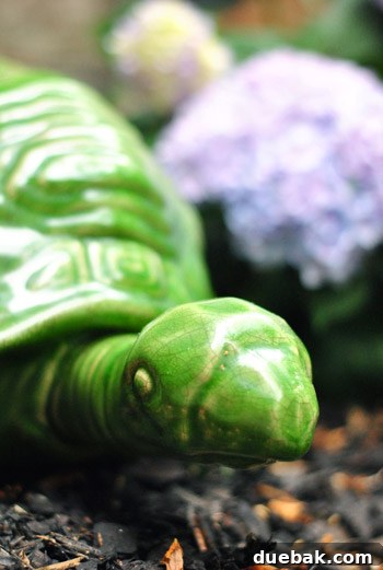 Burger the dog curiously sniffing the ceramic turtle in the garden, a playful interaction.