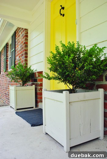 Boxwoods planted in the wooden front porch planters, emphasizing the need for regular watering.