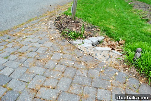Front Yard Transformation Journey 5 Cleaned up driveway edge with the squirrel statue in liriope.