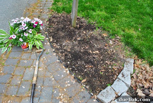 Front Yard Transformation Journey 6 Mailbox garden bed after initial weeding, ready for new plants.