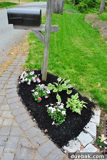 Front Yard Transformation Journey 9 Mulched mailbox garden bed, highlighting its small size.