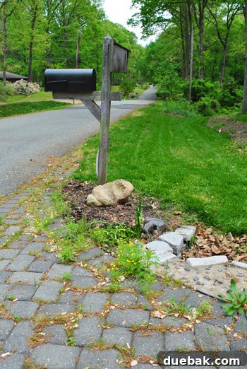 Front Yard Transformation Journey 10 Side-by-side comparison of the before and after mailbox garden bed.