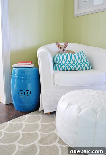Kitchen Comfort and Style 11 Burger the dog relaxing on his pillow near the rug