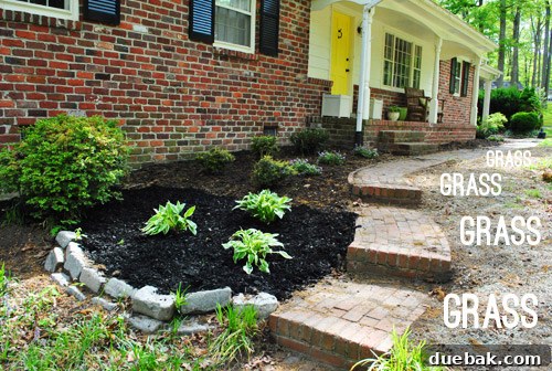 Repairing Bare Spots In Your Lawn With Seed 2 Overgrown liriope next to a brick pathway before removal