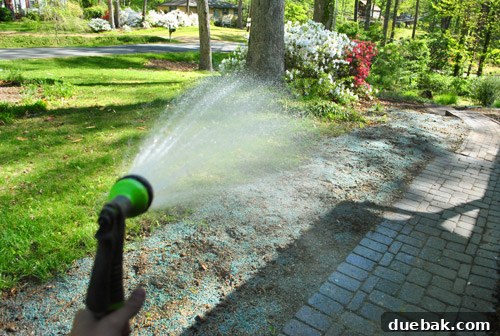 Repairing Bare Spots In Your Lawn With Seed 11 Watering newly sown grass seed with a garden hose