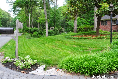 Repairing Bare Spots In Your Lawn With Seed 18 Newly grown grass visibly filling in the previously bare areas