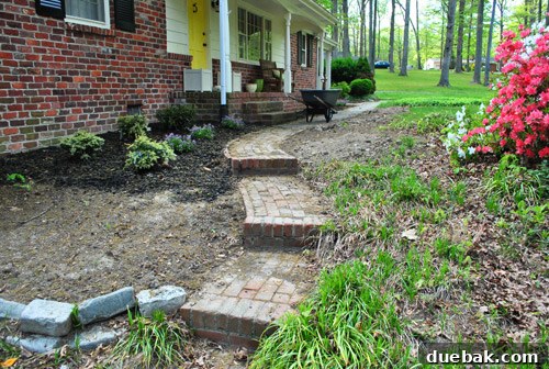 Repairing Bare Spots In Your Lawn With Seed 3 Close-up of overgrown liriope before being dug up