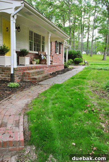 Repairing Bare Spots In Your Lawn With Seed 23 Another perspective of the new grass, highlighting areas that need further filling in
