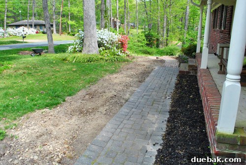 Repairing Bare Spots In Your Lawn With Seed 5 Pathway with newly cleared area after boxwood removal