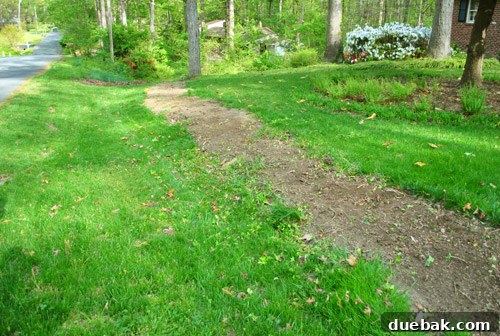 Repairing Bare Spots In Your Lawn With Seed 7 Cleared strip of dirt at the front of the property, ready for seeding