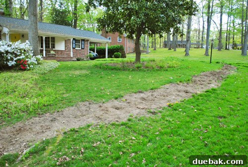 Repairing Bare Spots In Your Lawn With Seed 8 Close-up of a dirt path before grass seed application
