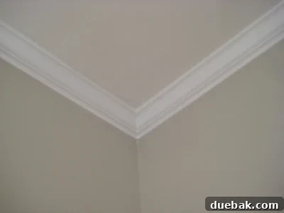Another detailed shot highlighting the flawless finish and expert craftsmanship of newly installed crown molding in a residential interior.