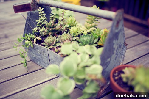 House Crashing: Kelly's Outdoor Escape Revealed 11 Vintage metal toolbox repurposed as a charming planter for outdoor plants