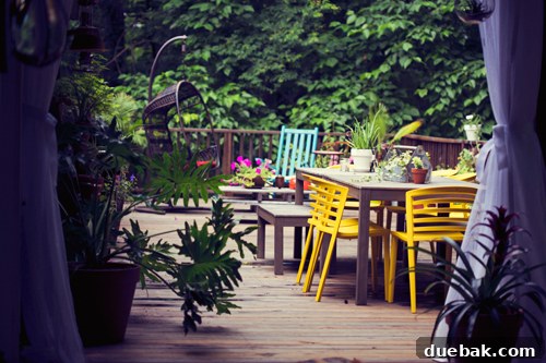 House Crashing: Kelly's Outdoor Escape Revealed 6 Outdoor seating area with vibrant blue cushions and numerous potted plants