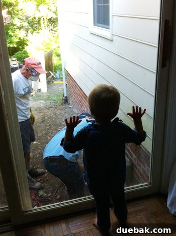 Sourcing Your Deck Building Materials 21 Clara watching the siding removal from the window