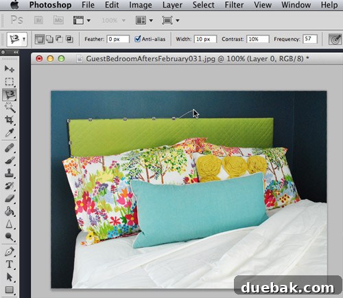 Using the Magnetic Lasso tool to select an object with curved or irregular edges