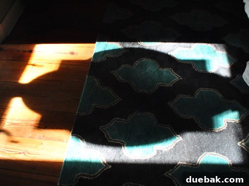 Natural art: The sun's reflection on the rug, forming a unique shape.
