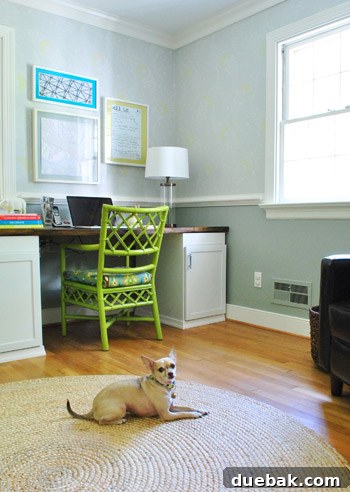 Elevating Our Home with the Right Rugs 10 Burger the dog relaxing comfortably on the new braided jute rug, indicating pet approval.