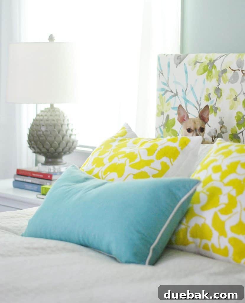 Chihuahua sitting on yellow gingko pillows against colorful upholstered DIY headboard, highlighting color coordination