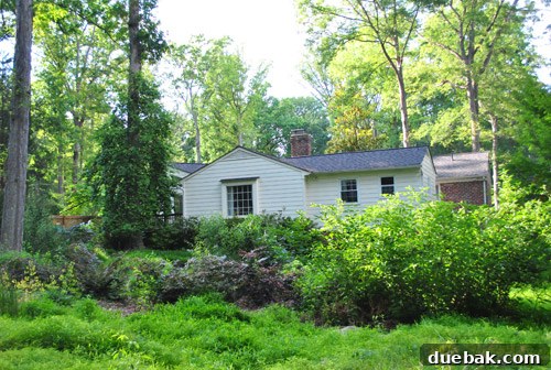 After photo of the house from the back of the lot, with foundation now obscured by dense bushes