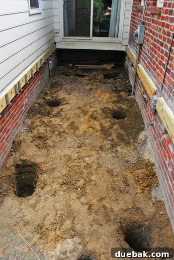 Man standing proudly next to a line of perfectly dug and prepared deck footing holes, awaiting inspection.