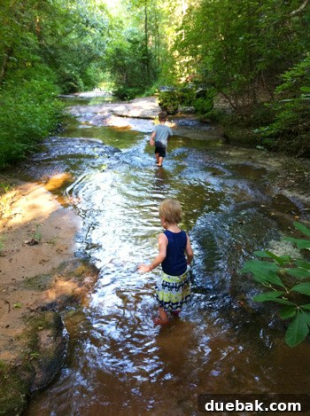 Two children playing in a shallow creek