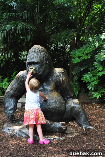 Child happily observing an animal at the zoo