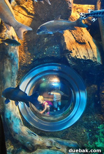 Child in an underwater viewing bubble at an aquarium