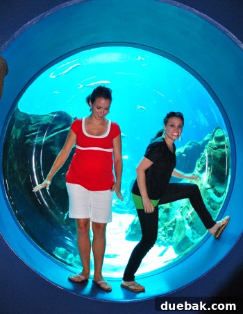 Woman striking a playful pose in an aquarium viewing bubble