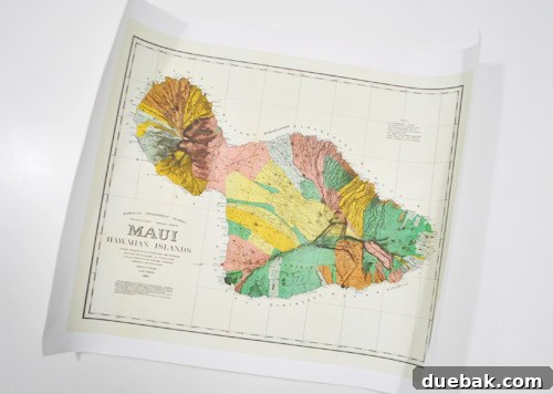 Fathers Day Fun with Furry Friends and Big Grins 9 A beautifully framed map of Maui displayed prominently in a home hallway as part of a gallery