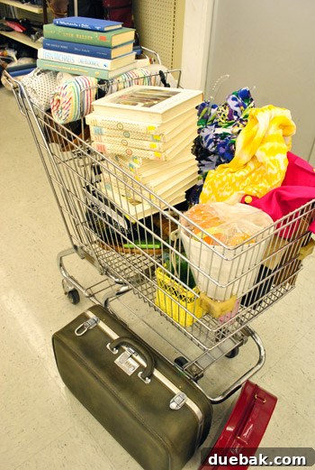 Goodwill shopping cart full of unique finds