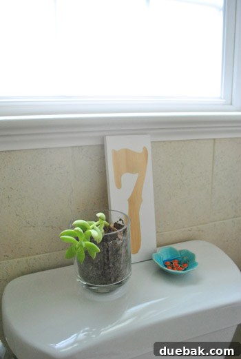 Detailed 'after' shot focusing on specific elements of the renovated bathroom, such as the new border tile.