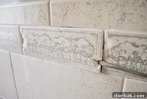 A close-up of the old border tile, showing its repetitive and dated pattern.