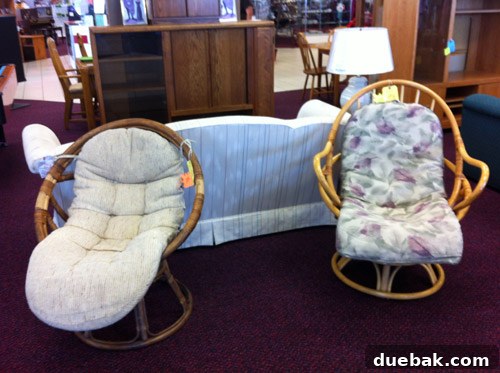 Uncovering a Gem: My Thrift Store Egg Chair Story 5 Two chairs at a thrift store