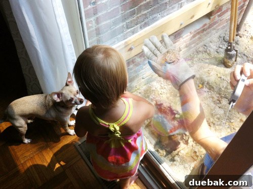 Clara and a chihuahua dog intently watching a frog in the yard