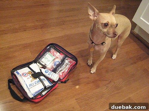 firstaidlivepetlookawayburger Pet First Aid Kit open, showing various supplies, emphasizing preparedness for pet emergencies