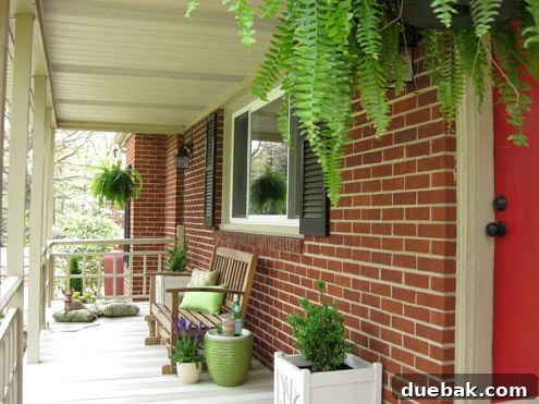 My First Home Then and Now: A Year's Perspective 4 First house front porch with hanging ferns and a distinctive striped floor.