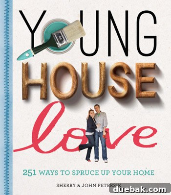 The very first draft of the Young House Love book cover design, with a quirky, playful aesthetic.