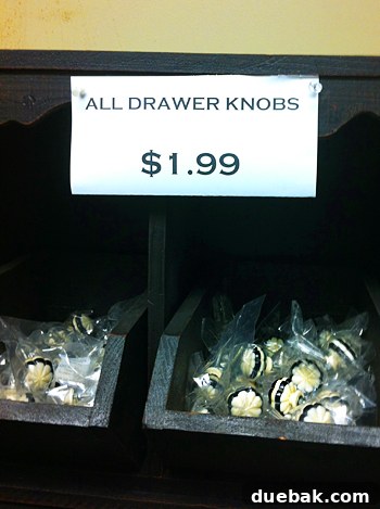 Bridge Views and Verdant Vistas 22 Anthropologie-style bone-looking knobs