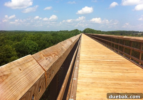 Bridge Views and Verdant Vistas 6 Panoramic view of the High Bridge Trail spanning across the river