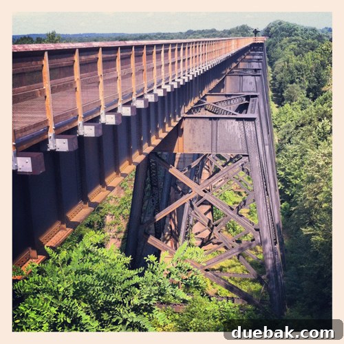 Bridge Views and Verdant Vistas 4 A close-up of the High Bridge Trail structure, showcasing its height