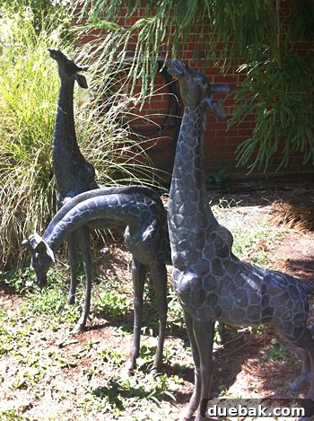 Bridge Views and Verdant Vistas 11 Metal giraffe sculptures displayed at Green Front Furniture