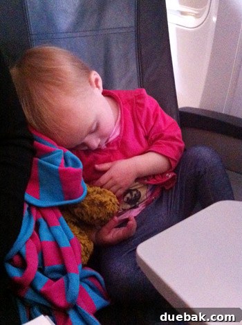 A Parent's Playbook for Flying with Toddlers 9 img 501 8