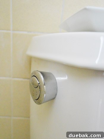 Close-up of a modern dual flush button on a toilet tank lid, showing two distinct flush options.