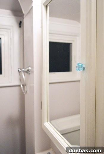 New blue glass knob and towel ring