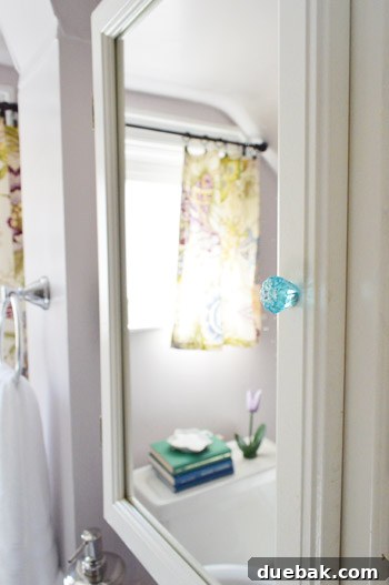 medicine-cabinet-blue-knob